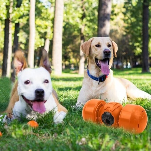 Interactive Dog Toy, Orange Rolling Treat Dispenser Slow Feeder Puzzle w Squeaky - Picture 16 of 16